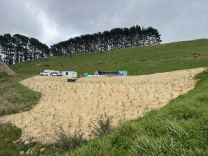 Willowbank Quarry Environmental Planting
