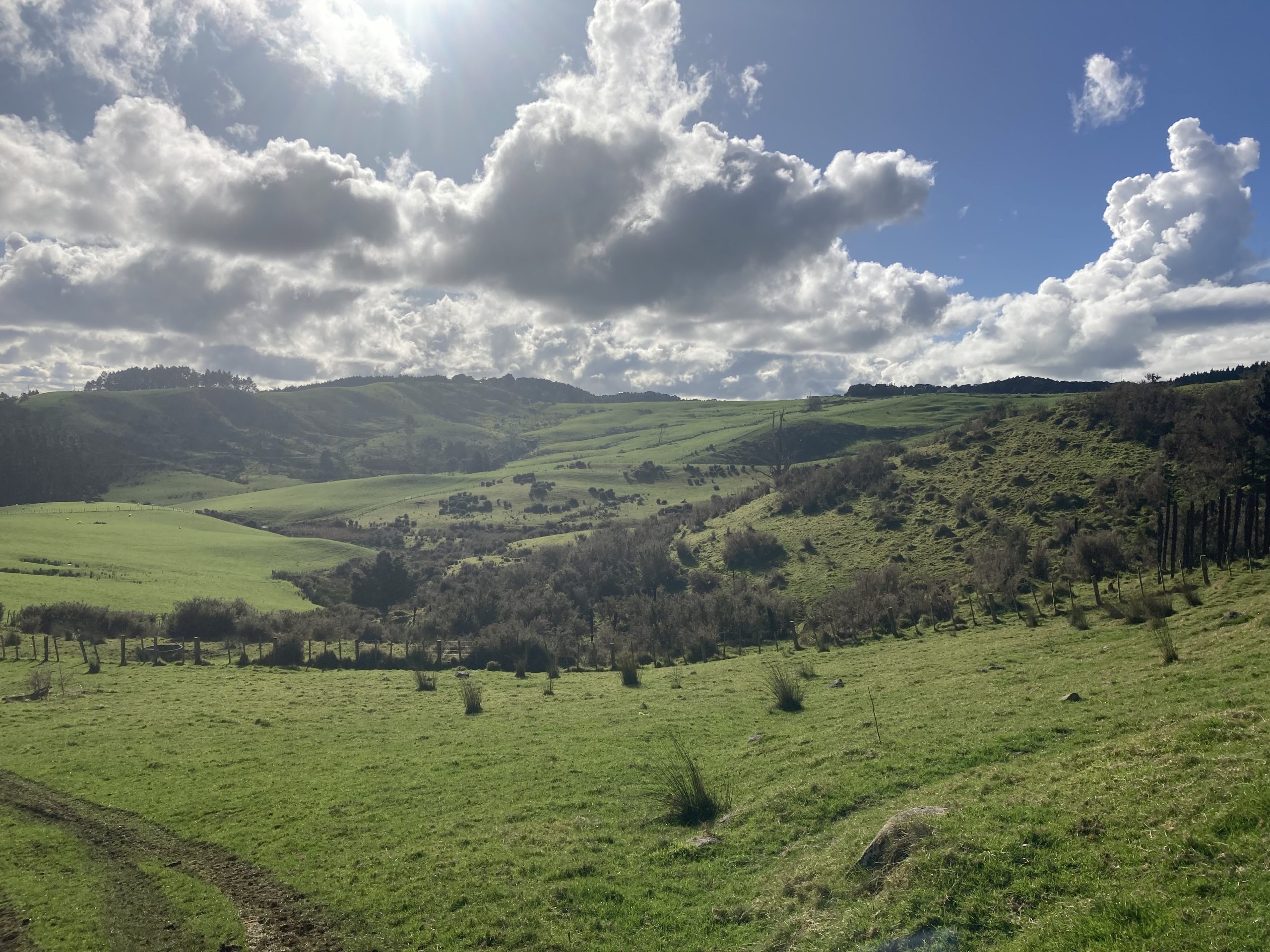 Stevenson receives significant quarry consents